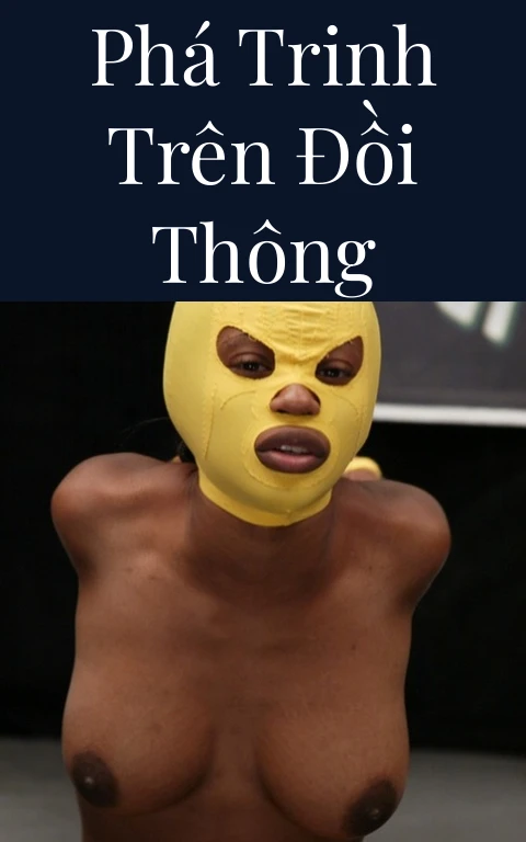 Phá trinh trên đồi thông
