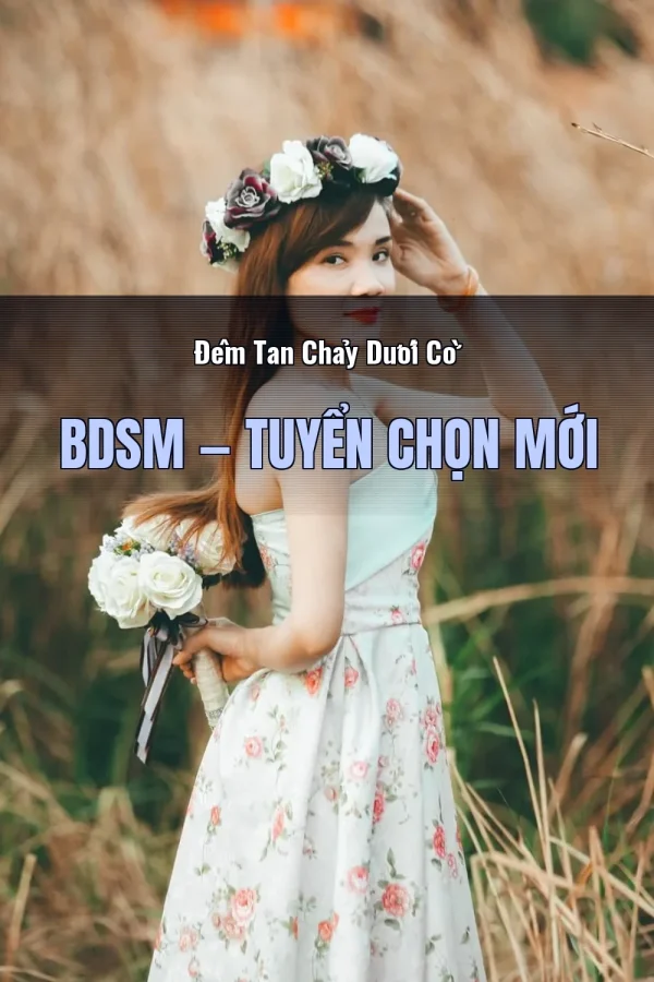 Đêm Tan Chảy Dưới Cờ BDSM — Tuyển chọn mới