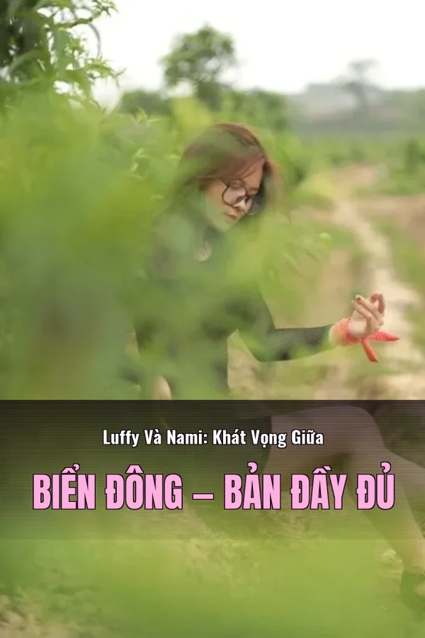 Luffy Và Nami: Khát Vọng Giữa Biển Đông — Bản đầy đủ