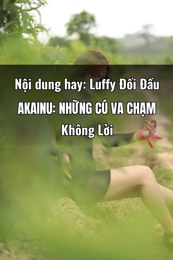 Nội dung hay: Luffy Đối Đầu Akainu: Những Cú Va Chạm Không Lời